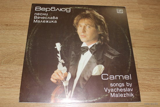 Вячеслав Малежик -Верблюд