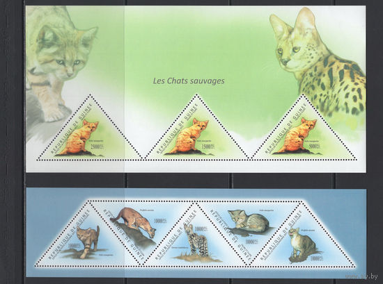 Фауна Кошки Гвинея 2011** Домашние Животные