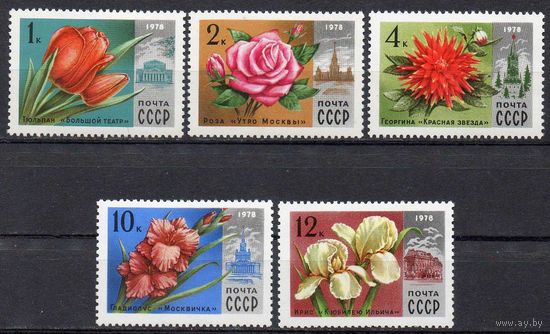 Цветы Москвы СССР 1978 год (4826-4830) серия из 5 марок