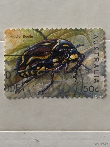 Австралия 2003. Фауна. Жуки
