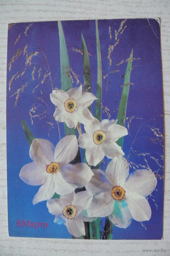 Дергилева И., 8 марта; 1989, 1990, подписана.