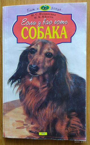 Если у вас есть собака