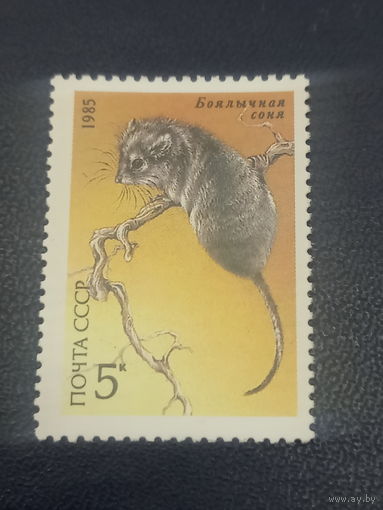 СССР 1985г. Боялычная соня