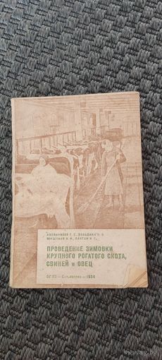 Проведение зимовки крупного рогатого скота, свиней и овец 1934 год.
