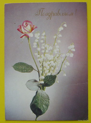 Поздравляем! Чистая. 1989 года.