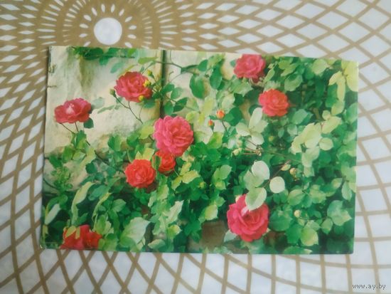 Открытка СССР 1974 год.   Чистая. Р.Папикъян. Состояние на скане.