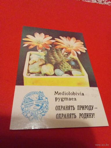 Календарик 1986г.