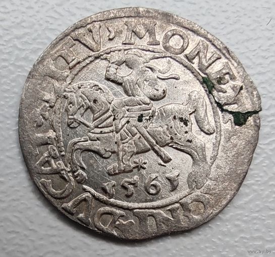 Полугрош 1561 яркий штемпельный блеск