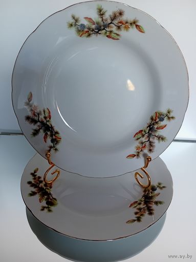 Japan. Япония.Тарелка. Костяной Фарфор. Кедровая ветка. Шишки. Диаметр 23 см