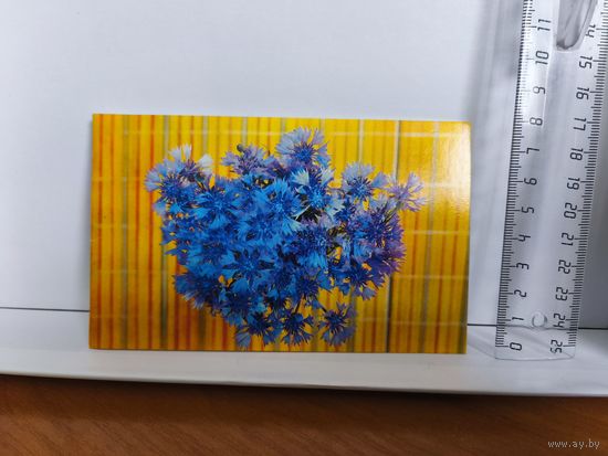 Открытка двойная, б/у, 1975г. Поздравляю! Фото В. Иванова. 14