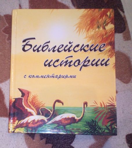 Библейские истории с комментариями.