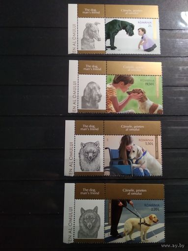 Румыния 2021 г. Собаки