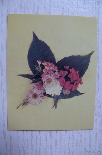 Тяпченков А., Композиция из цветов, 1984, чистая, мини-формат.