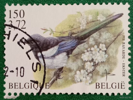 Бельгия 1972. Фауна. Птицы. Сорока