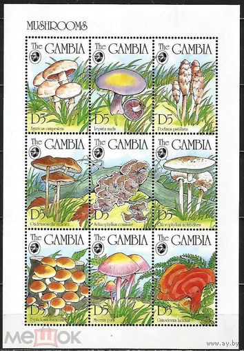 Гамбия Гриб Опята Мухомор Бледная поганка Рядовка Мицена 1994   MNH