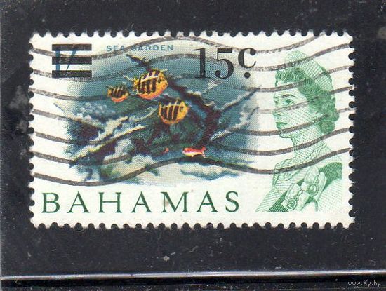 Багамы. Mi:BS 244. Морской сад (Abudefduf saxatilis) - оплачивается отдельно. Серия: Местные сцены (1965) с доплатой Десятичная валюта 1966