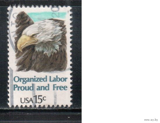 США-1980, (Мих.1438) , гаш. , Фауна, Орел(одиночка),