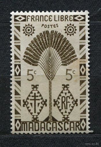 Дерево путешественника. Колония. Мадагаскар. 1943. Чистая