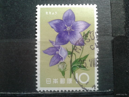 Япония, 1961. Колокольчик крупноцветковый. Mi-0,8 евро гаш.