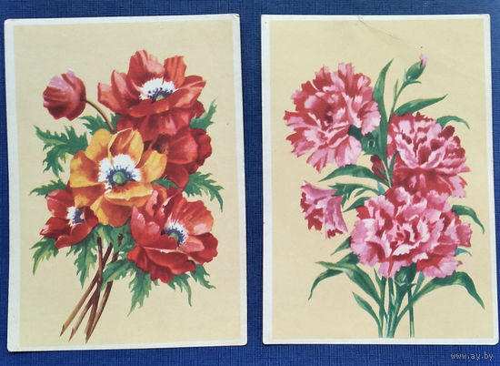 Зеленов В. Маки. Ландыши. Гвоздики.  3 открытки БССР. 1950-е. Чистые. Цена за 1.