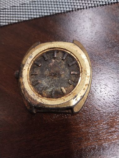 Часы или корпус часов Au10.