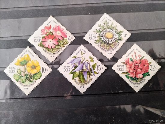 СССР, 1981г.Цветы УКРАИНСКИХ КАРПАТ.