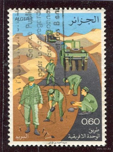 Алжир. Строительство автодорожных трасс