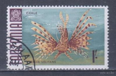 [1212] Танзания 1967. Фауна.Рыбы.Крылатка-зебра.1шил. Гашеная марка.