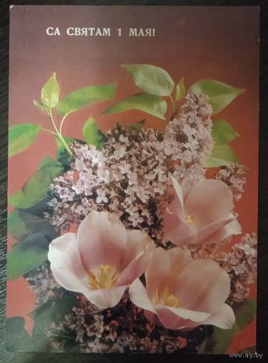 Открытка СССР 39