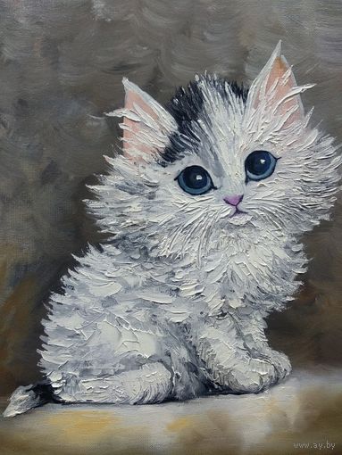 Белый котик