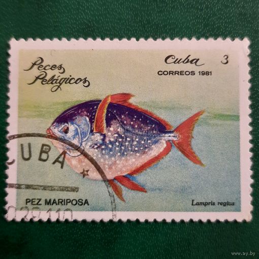 Куба 1981. Фауна. Рыбы. Lampris Regtus. Марка из серии