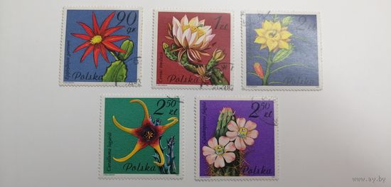 Польша 1981. Цветы