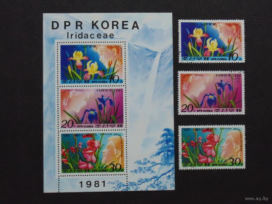 Корея 1981 г.