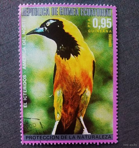 Марка Экваториальная Гвинея 1976 год Птицы