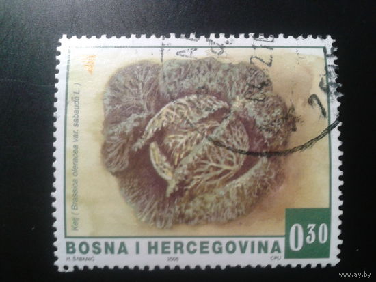 Босния и Герцеговина, 2006. Капуста