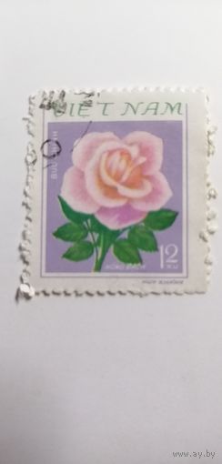 Вьетнам 1980. Розы.