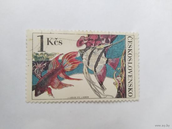 ЧССР  1975