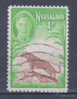 [2057] Британские колонии. Ньясаленд 1947. Георг VI.Фауна.Леопард. Гашеная марка.