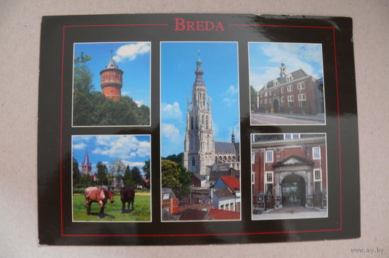 Открытка, посткроссинг (61), 2009, прошла почту (марки).