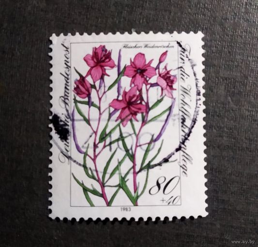 Марка Германия 1983 год Цветы