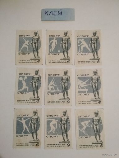 Спичечные этикетки ф.Красная звезда. Спорт. 1976 год