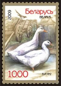 Марки "Утки", "Гуси"