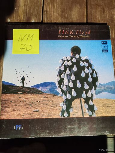 Pink Floyd Delicate Sound of Thunder виниловая пластинка(2lp)