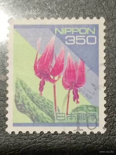 Япония. Флора. Цветы