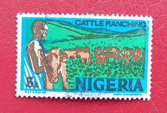 Нигерия, 1973 год, стандартный выпуск, животноводство