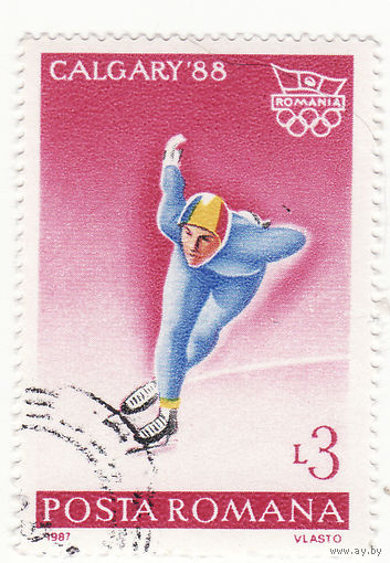 Зимние Олимпийские игры, Калгари 1988 год