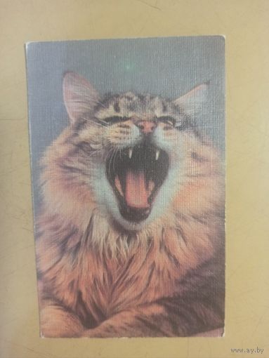 Календарь 1990 кошки/3