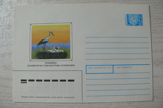 1994, ХМК, Беларусь, Медведев А., Припятский заповедник (аист).