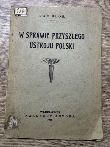 W sprawie przyszlego ustroju polski.1918г.