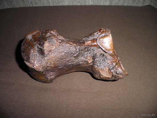 RRR!Кость МАМОНТА.Без МЦ.С рубля.